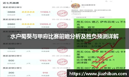 水户蜀葵与甲府比赛前瞻分析及胜负预测详解